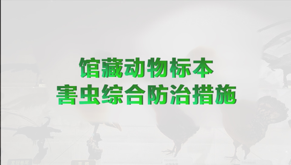 館藏動物標本害蟲綜合防治措施