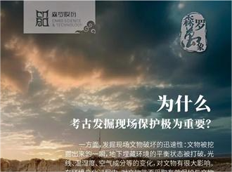 《森羅萬象》，萬象包羅第81問 