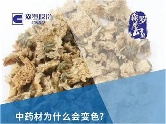 《森羅萬(wàn)象》，萬(wàn)象包羅 第2問(wèn)