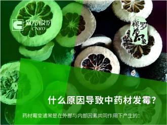 《森羅萬象》，萬象包羅 第4問