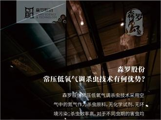 《森羅萬象》，萬象包羅第91問